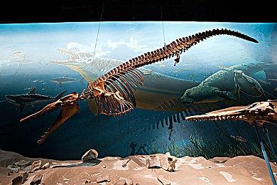 同人游戏受官方祝福！ 光环工作室力挺粉丝作品《斯巴达幸存者》