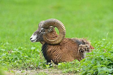 《没人想死》现已正式发售 Steam获得特别好评