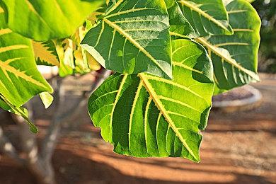 开发商解释《采石场惊魂》为何不加入《黑相集》系列