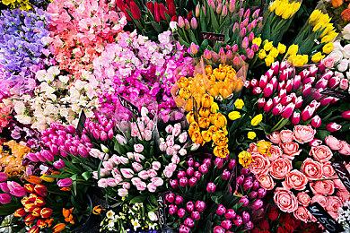 国行PS5“深地色系”手柄和主机盖发售：火山红和钴晶蓝